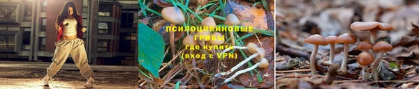 мдпв Кукмор