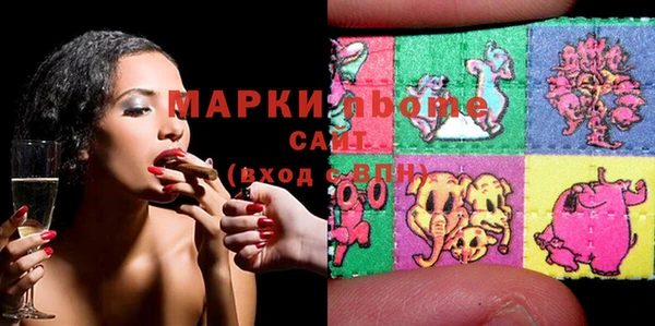 сатива Лабытнанги