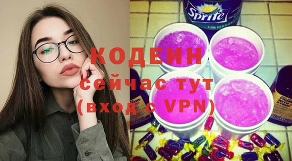 индика Лихославль