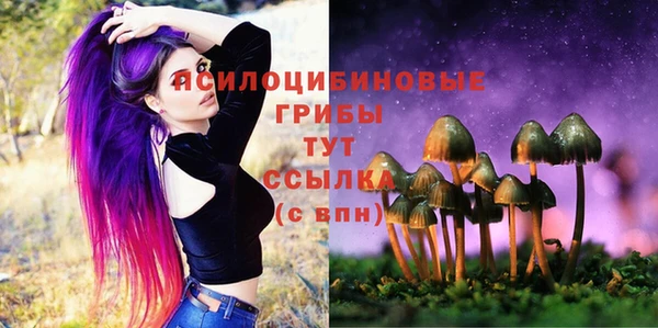 сатива Лабытнанги