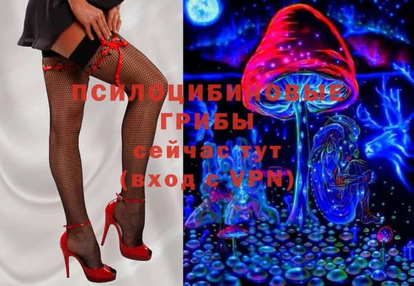 МДПВ Кулебаки