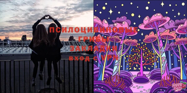 мдпв Кукмор