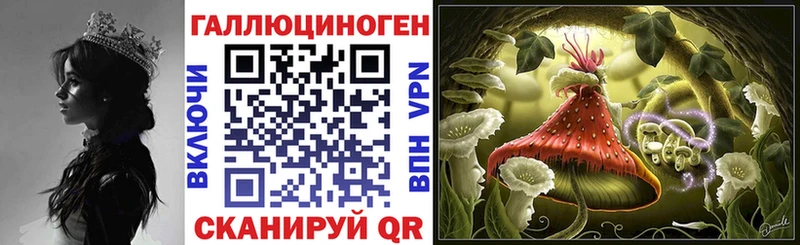где купить наркотик  Мелеуз  Псилоцибиновые грибы Cubensis 