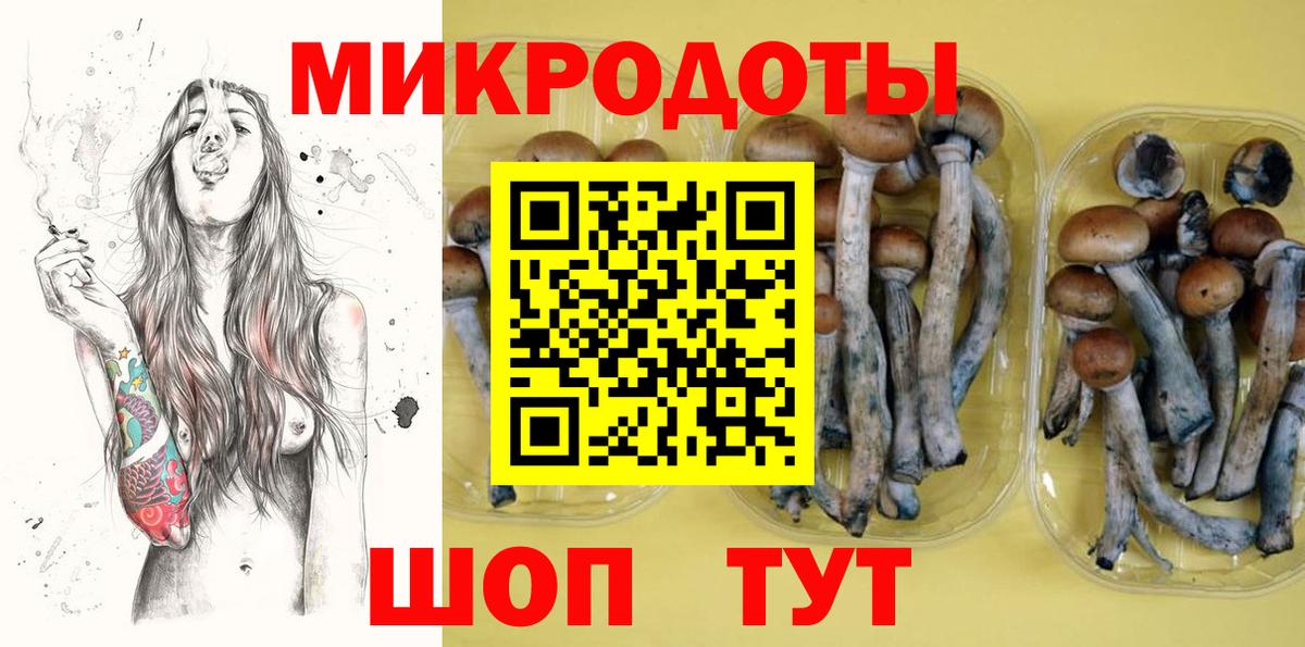 Мелеуз  Псилоцибиновые грибы мицелий  Вход с VPN  Псилоцибиновые грибы GOLDEN TEACHER 